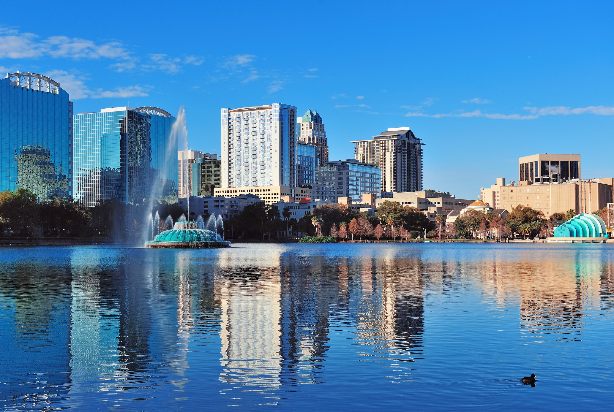 Orlando Morning